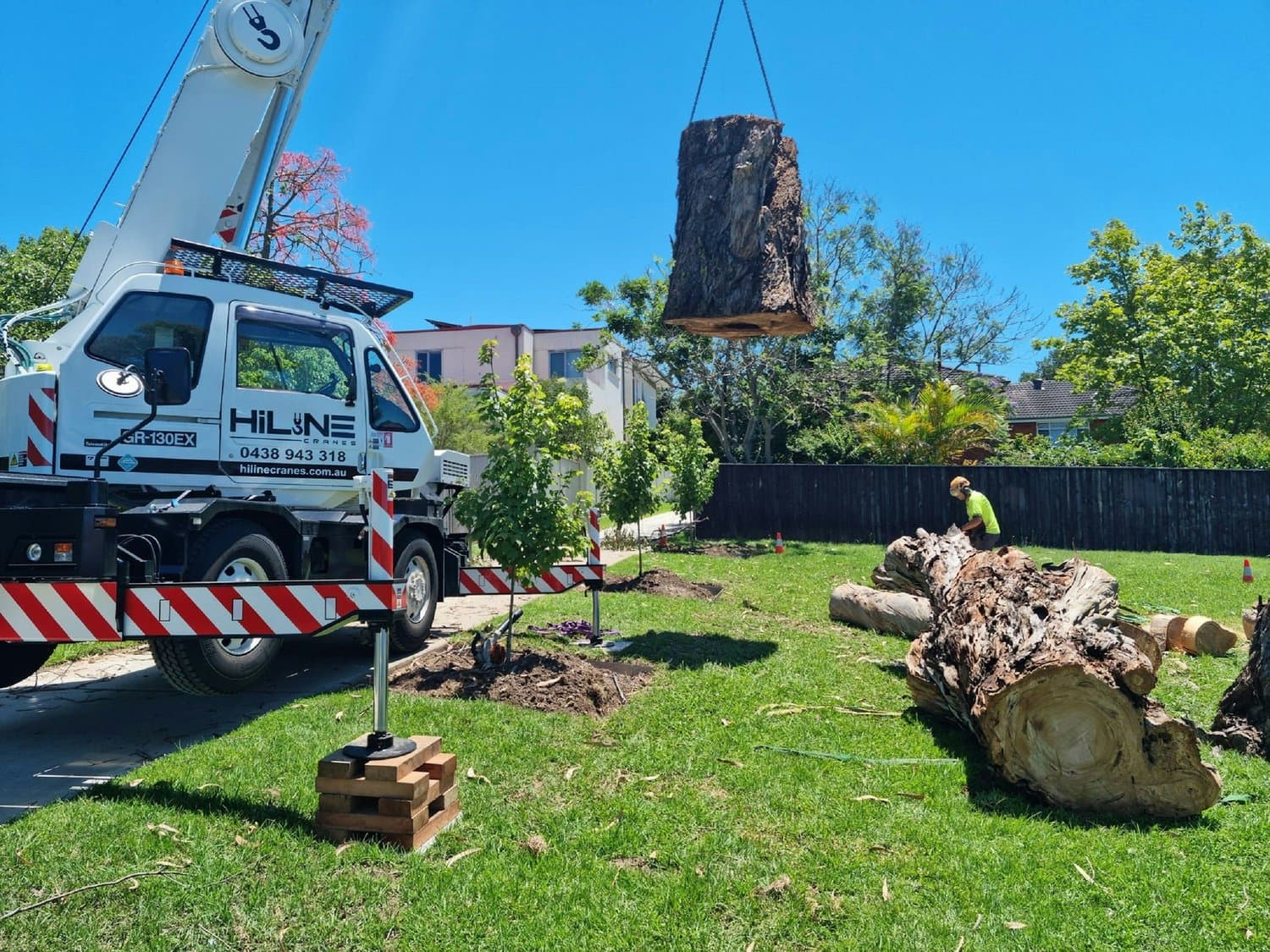 Alvarez Lawn Service, Inc., tree removal services in Tampa Bay, example 3