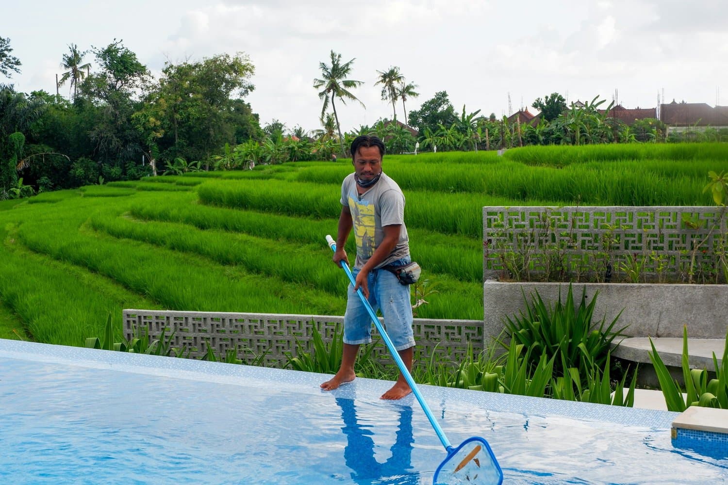 Pool Services in Tampa, Florida