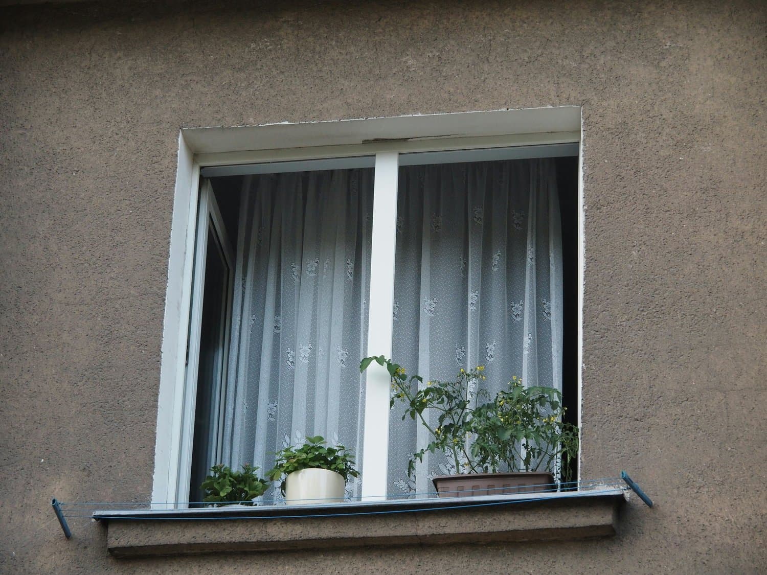 Window & Door Installation / Repair in Tampa, Florida