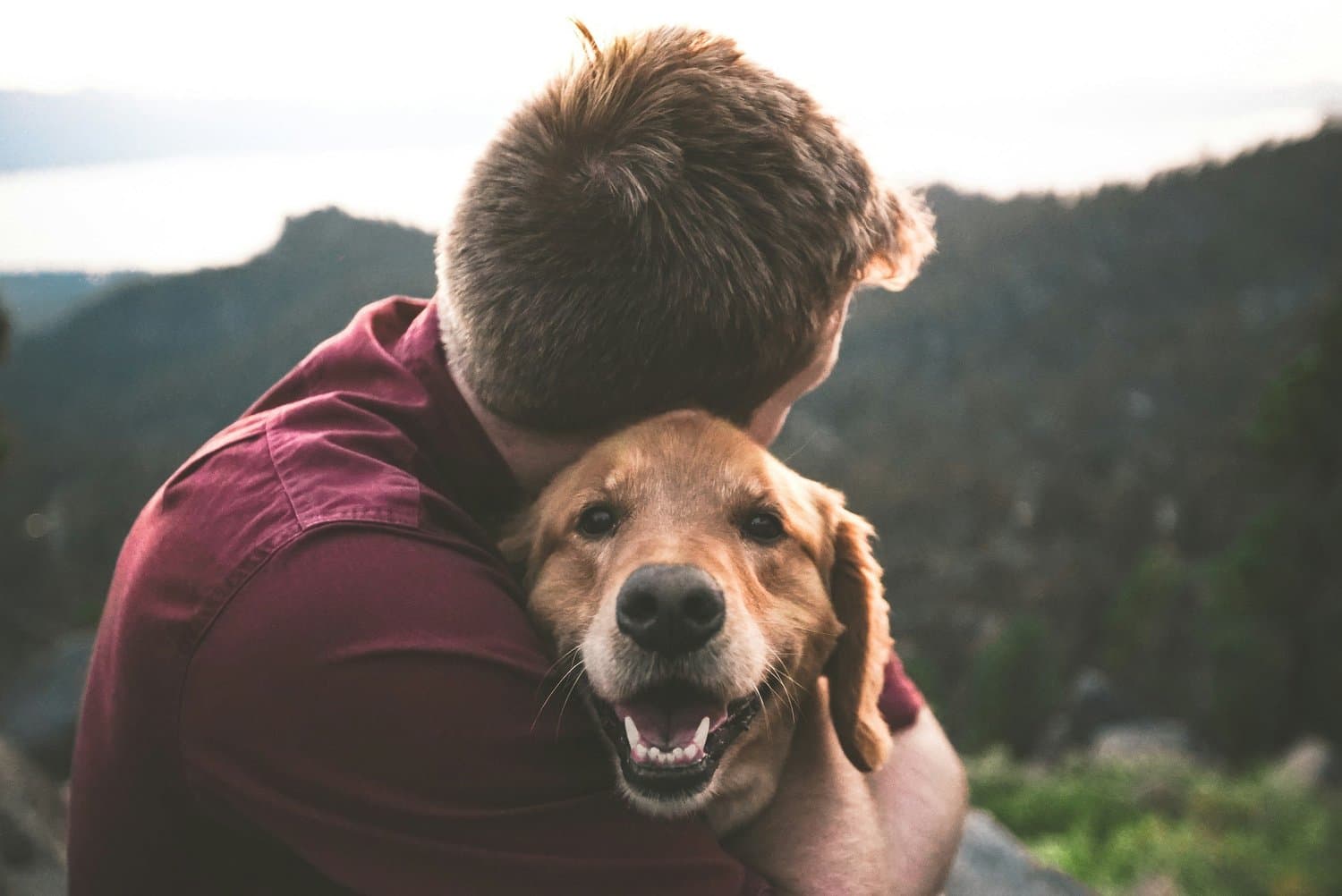 Pet Adoption & Rescue Services in Tampa, Florida