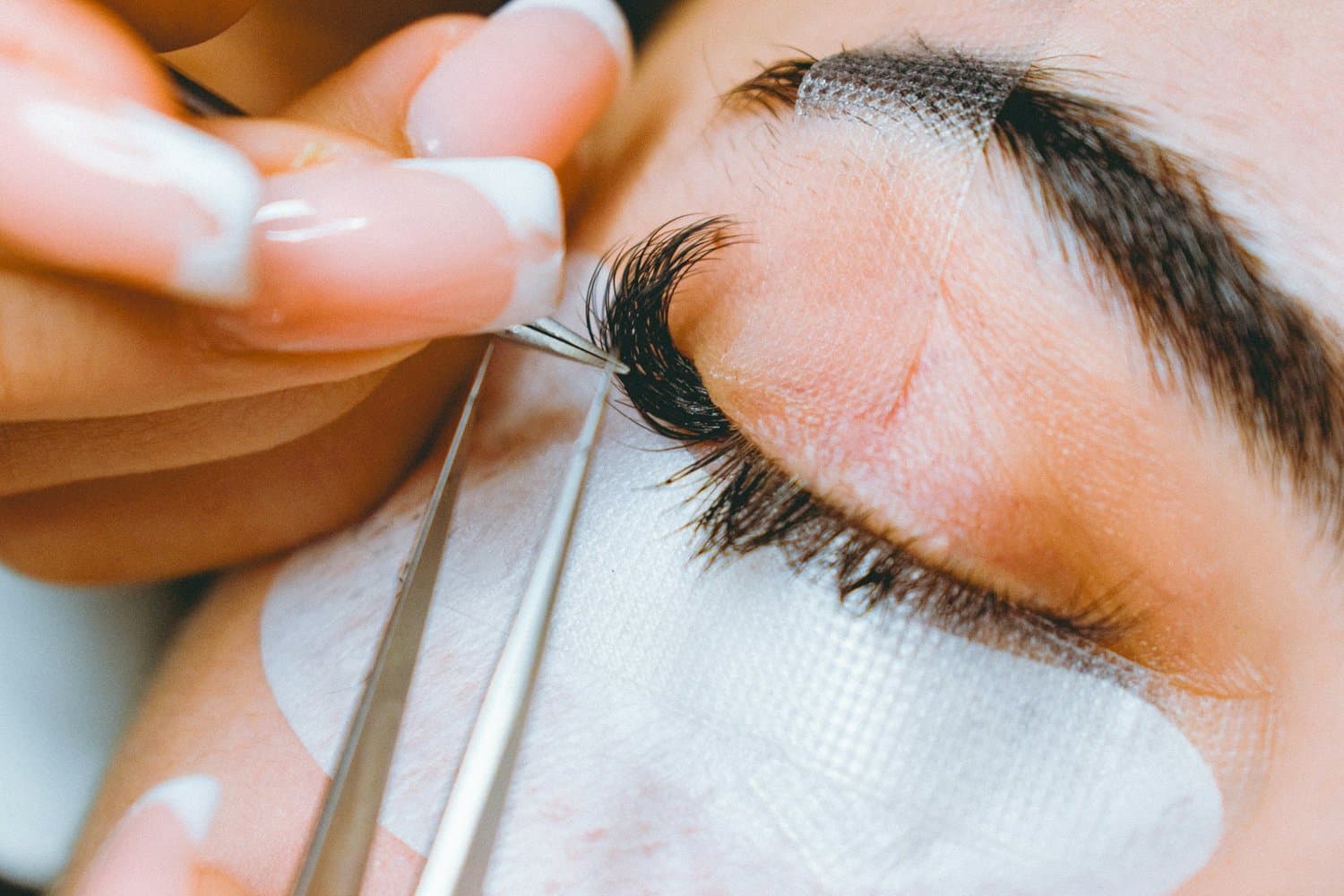 Lash & Brow Service in Tampa, Florida