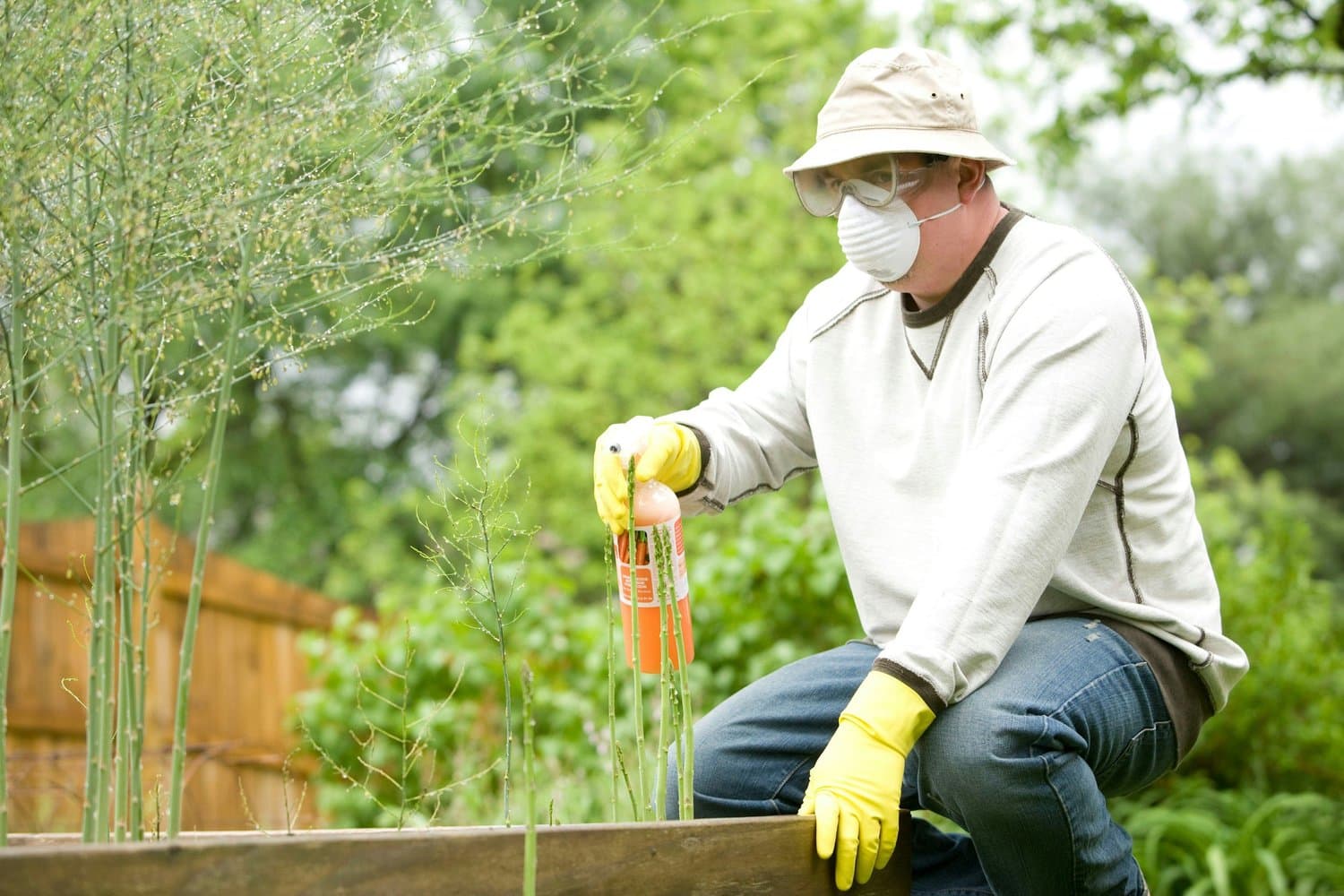 Pest Control in Tampa, Florida