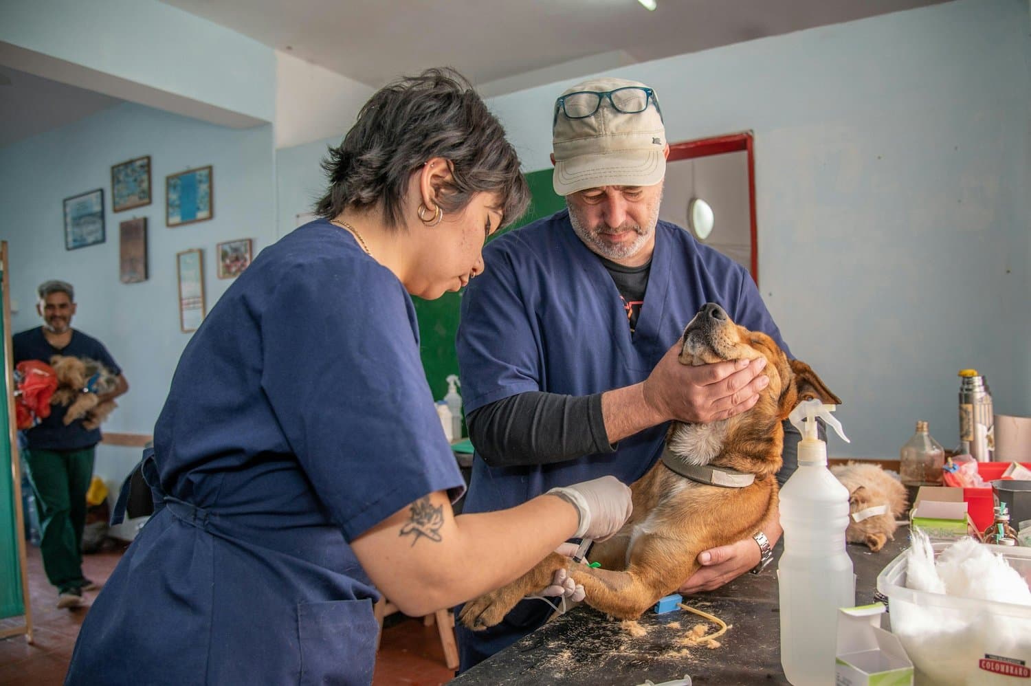 Veterinary Services / Animal Clinic in Tampa, Florida