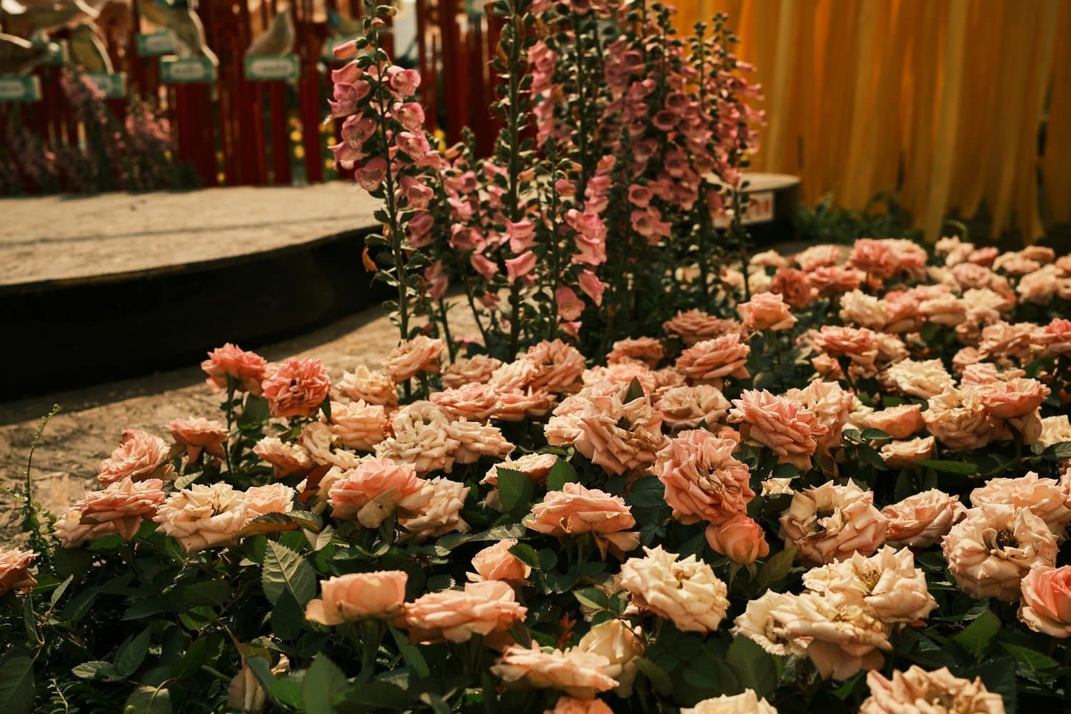 Floral Design & Decorations in Tampa, Florida