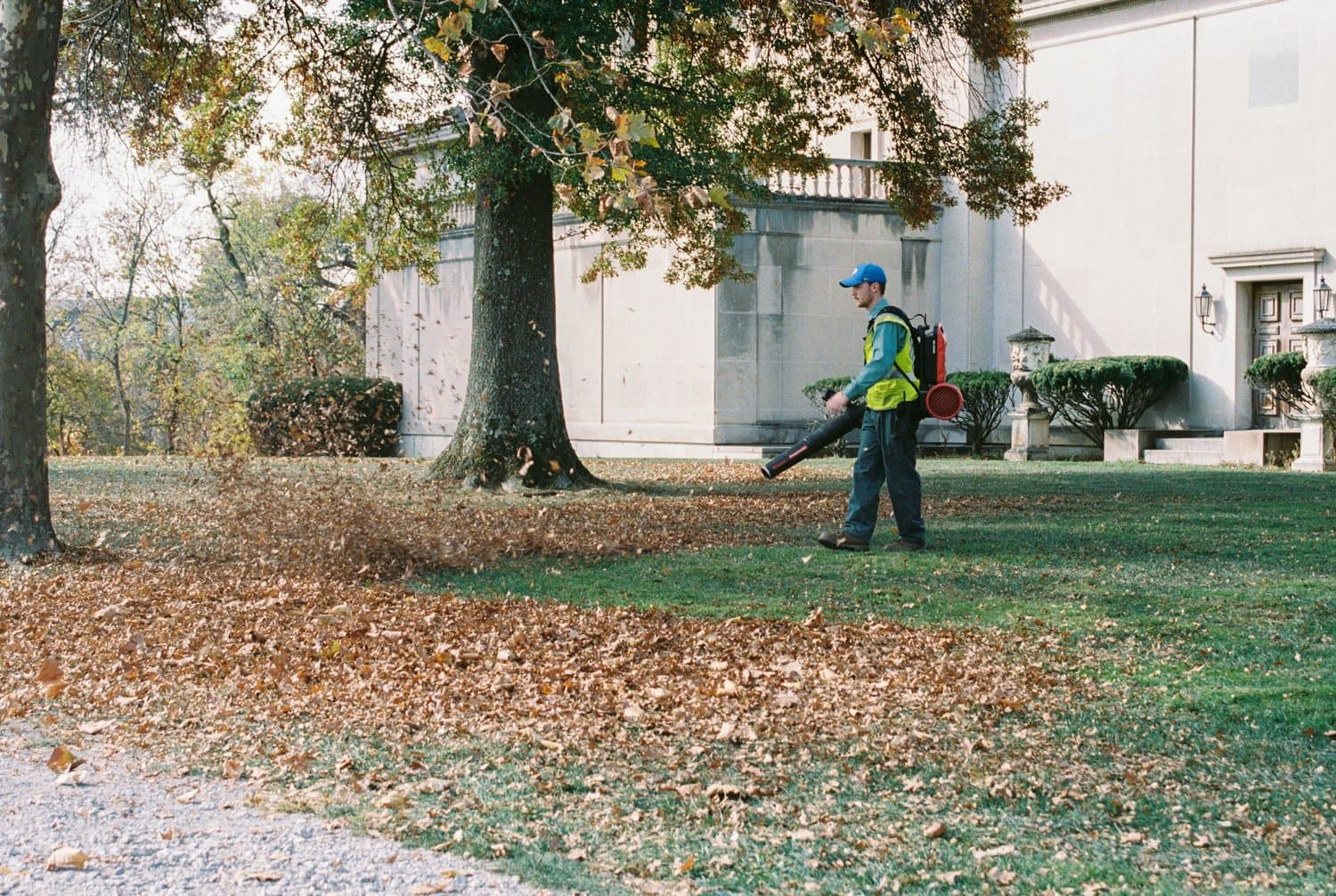 Alvarez Lawn Service, Inc., tree removal services in Tampa Bay