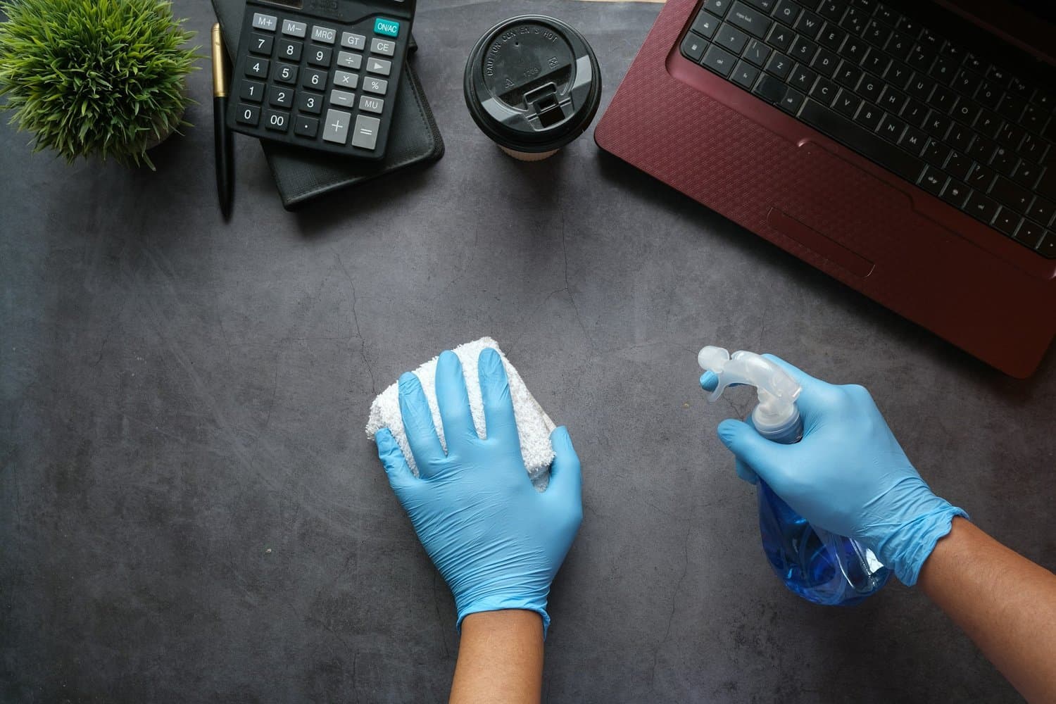 Cleaning & Maid Services in Tampa, Florida
