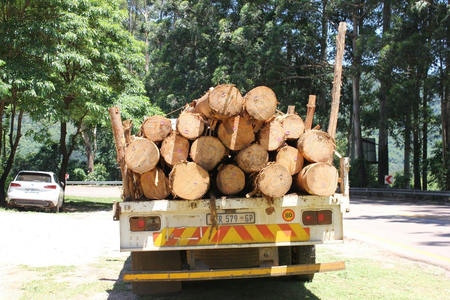 Alvarez Lawn Service, Inc., tree removal services in Tampa Bay, example 4