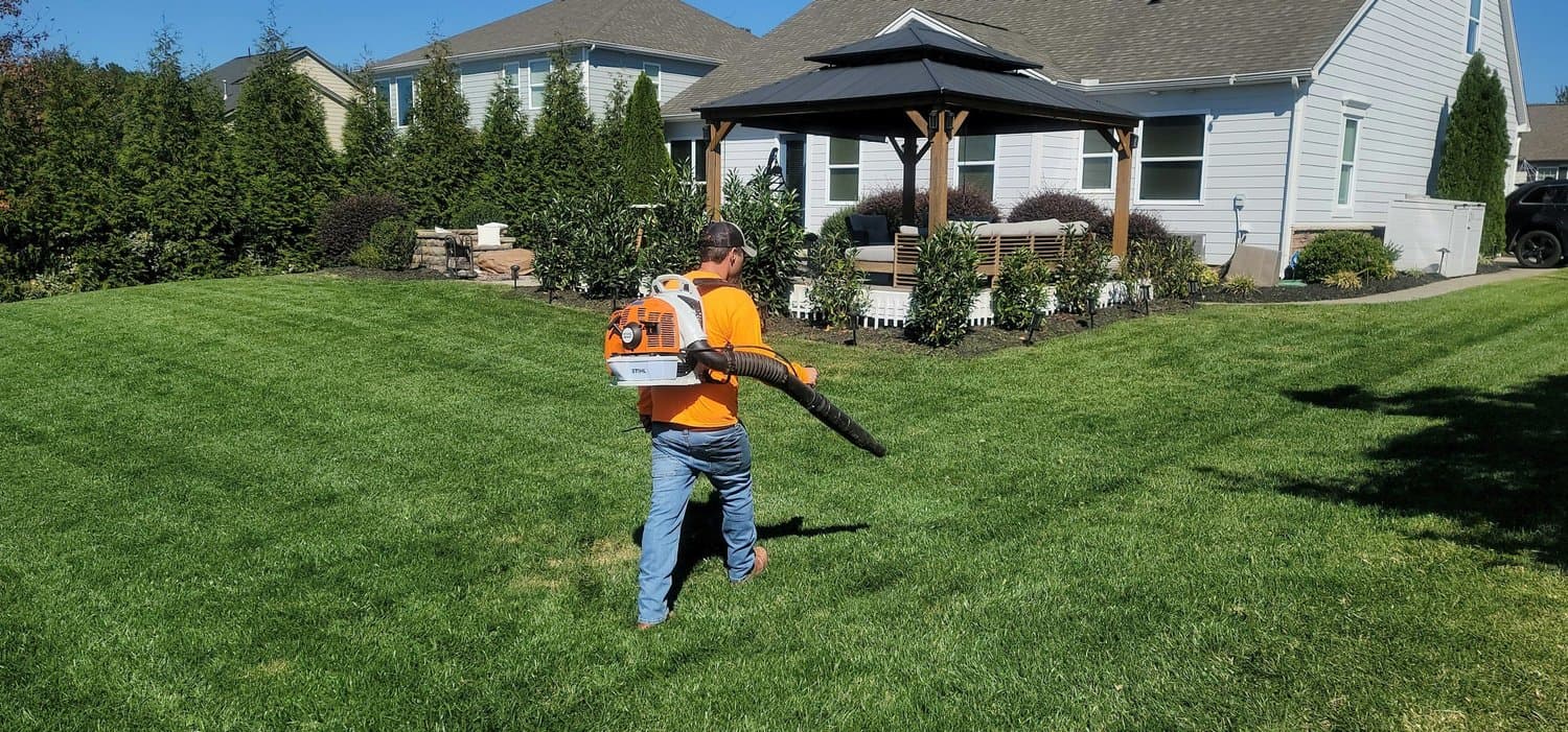 Lawn Care Services in Tampa, Florida