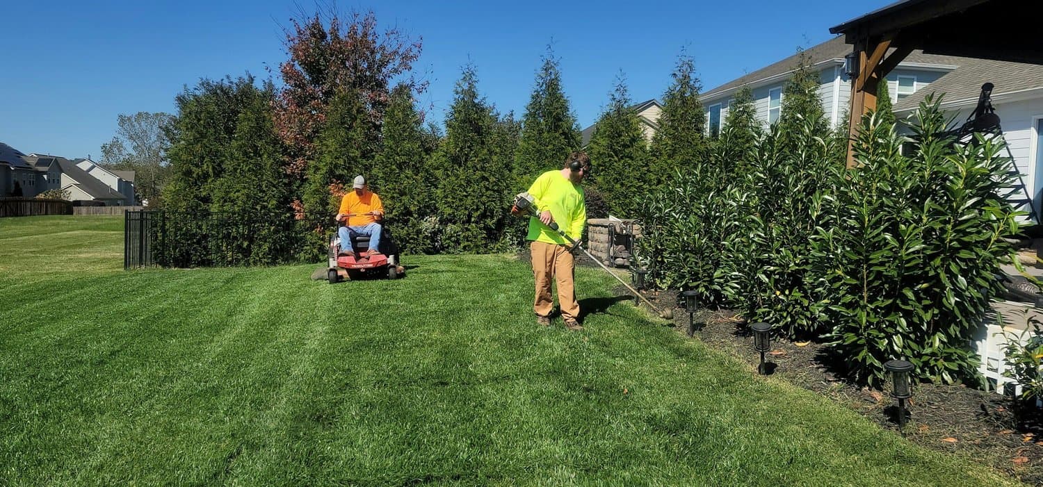 Alvarez Lawn Service, Inc., lawn care services in Tampa Bay